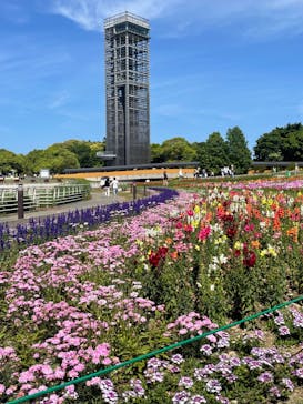 浜名湖花博2024に投稿された画像（2024/5/5）