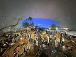 福井県立恐竜博物館に投稿された画像（2024/5/5）