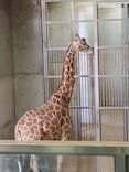 よこはま動物園ズーラシアに投稿された画像（2024/5/5）
