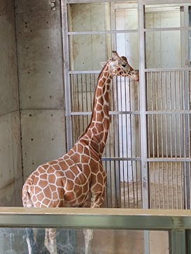 よこはま動物園ズーラシアに投稿された画像（2024/5/5）
