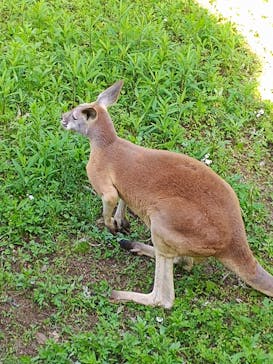 よこはま動物園ズーラシアに投稿された画像（2024/5/5）