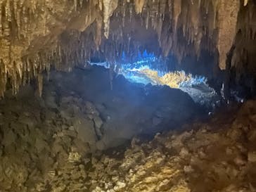 おきなわワールドに投稿された画像（2024/5/5）