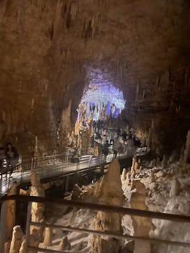 おきなわワールドに投稿された画像（2024/5/5）