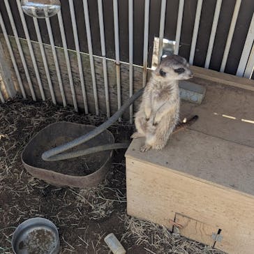 伊豆シャボテン動物公園に投稿された画像（2024/5/5）