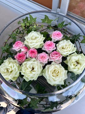 いばらきフラワーパークに投稿された画像（2024/5/5）