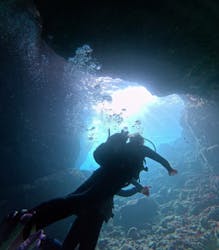 青の洞窟専門店　沖縄ダイビングショップ和に投稿された画像（2024/5/5）