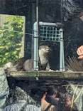 サンシャイン水族館に投稿された画像（2024/5/5）