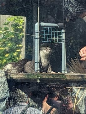 サンシャイン水族館に投稿された画像（2024/5/5）