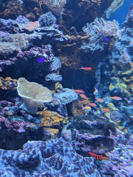 サンシャイン水族館に投稿された画像（2024/5/5）