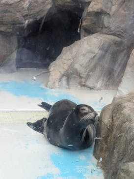 サンシャイン水族館に投稿された画像（2024/5/5）