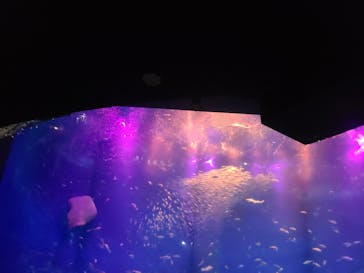 アクアワールド茨城県大洗水族館に投稿された画像（2024/5/5）