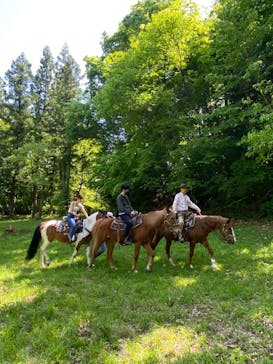 クリオステーブルに投稿された画像（2024/5/5）