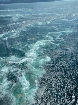 徳島県立 渦の道に投稿された画像（2024/5/5）