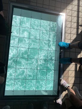 徳島県立 渦の道に投稿された画像（2024/5/5）