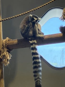 NIFREL（ニフレル）に投稿された画像（2024/5/5）