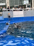 大分マリーンパレス水族館 「うみたまご」に投稿された画像（2024/5/5）