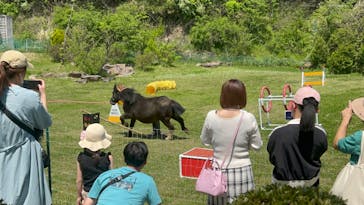 東北サファリパークに投稿された画像（2024/5/5）