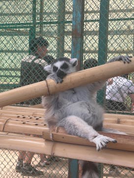 東北サファリパークに投稿された画像（2024/5/5）