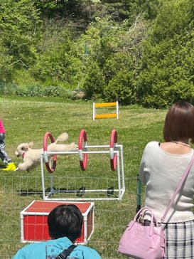 東北サファリパークに投稿された画像（2024/5/5）