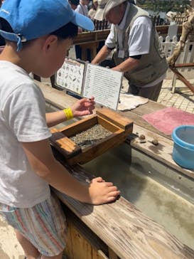 那須高原りんどう湖ファミリー牧場に投稿された画像（2024/5/5）