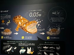 京都水族館に投稿された画像（2024/5/5）