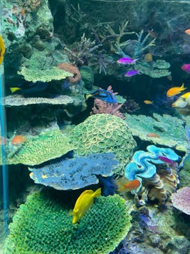 サンシャイン水族館に投稿された画像（2024/5/5）