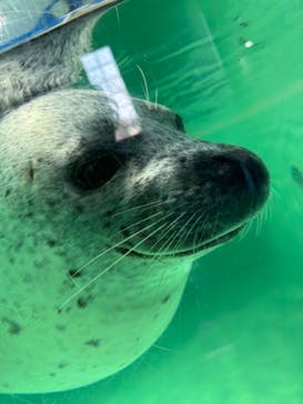 下田海中水族館に投稿された画像（2024/5/5）
