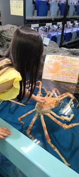 竹島水族館に投稿された画像（2024/5/5）