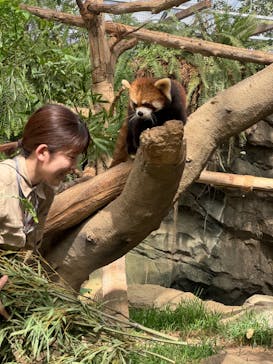 神戸どうぶつ王国に投稿された画像（2024/5/5）