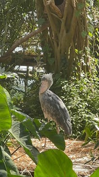 神戸どうぶつ王国に投稿された画像（2024/5/5）