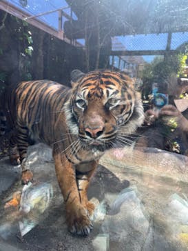 神戸どうぶつ王国に投稿された画像（2024/5/5）