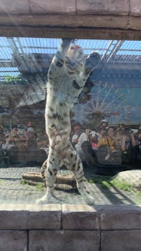 東武動物公園に投稿された画像（2024/5/5）