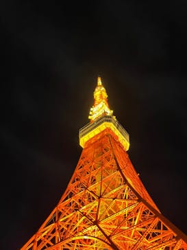 東京タワーに投稿された画像（2024/5/5）