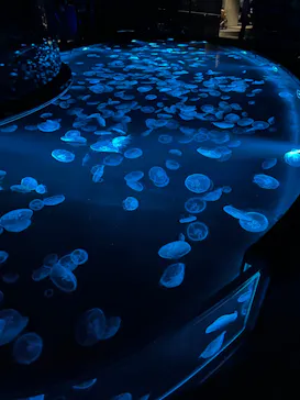 すみだ水族館に投稿された画像（2024/5/5）