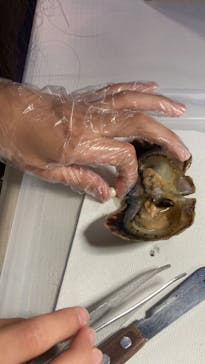 新江ノ島水族館に投稿された画像（2024/5/5）