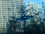 サンシャイン水族館に投稿された画像（2024/5/6）