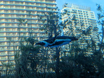 サンシャイン水族館に投稿された画像（2024/5/5）