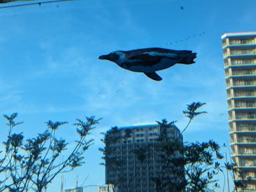 サンシャイン水族館に投稿された画像（2024/5/5）