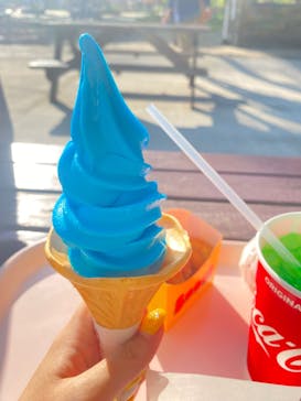 国営ひたち海浜公園プレジャーガーデンに投稿された画像（2024/5/5）