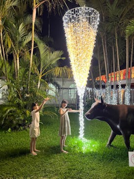 美らヤシパークオキナワ・東南植物楽園に投稿された画像（2024/5/5）