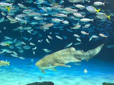 サンシャイン水族館に投稿された画像（2024/5/5）