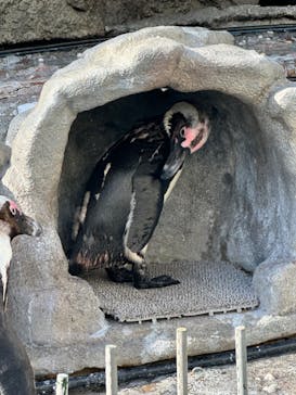 サンシャイン水族館に投稿された画像（2024/5/5）