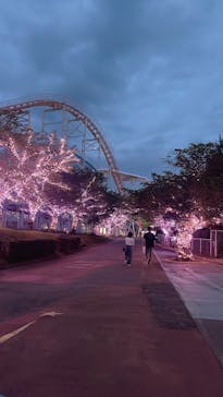 グリーンランドに投稿された画像（2024/5/5）