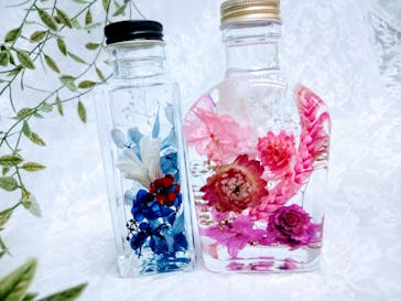 ずこうしつ〜sugamo〜に投稿された画像（2024/5/5）