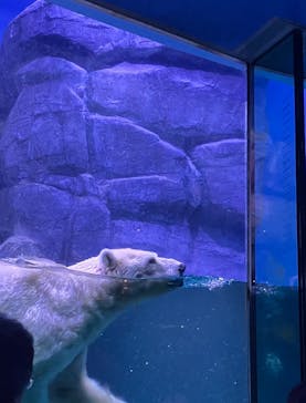 横浜・八景島シーパラダイスに投稿された画像（2024/5/5）