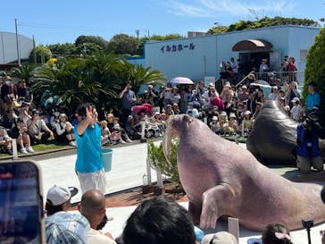 南知多ビーチランド＆南知多おもちゃ王国に投稿された画像（2024/5/5）