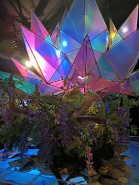 NARA IKIMONO MUSEUMに投稿された画像（2024/5/5）