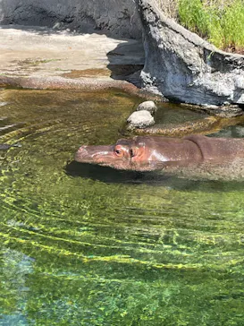 天王寺動物園に投稿された画像（2024/5/5）