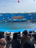 仙台うみの杜水族館に投稿された画像（2024/5/6）
