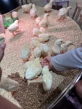 Moff animal cafe イオンモール名取店に投稿された画像（2024/5/5）